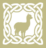 Celtic Knot Alpacas